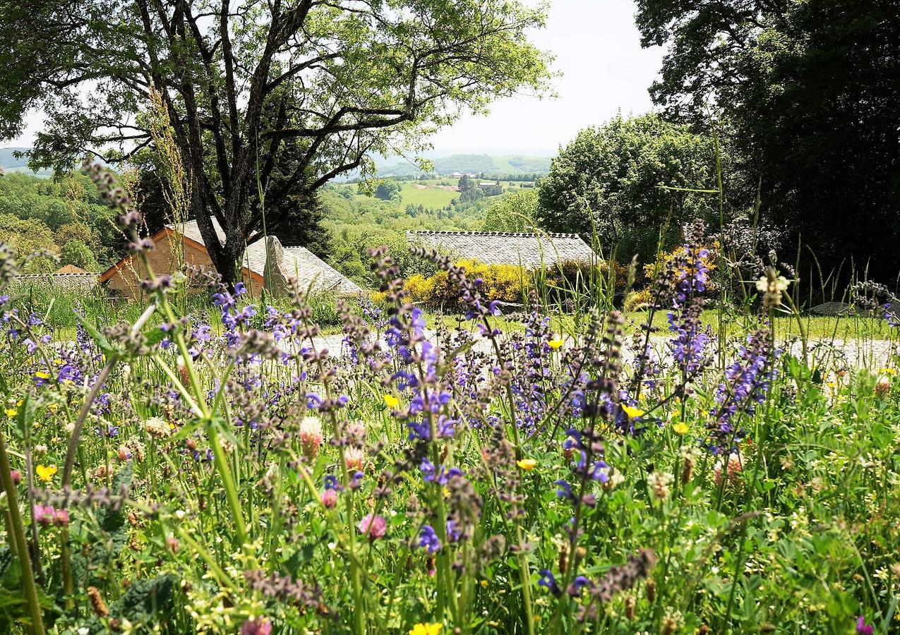 Domaine Des Marequiers Chambre Pimprenelle Saint-Germain-du-Teil Exteriör bild