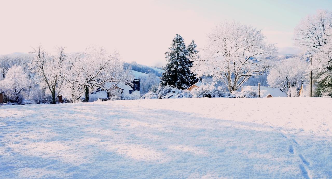 Domaine Des Marequiers Chambre Pimprenelle Saint-Germain-du-Teil Exteriör bild