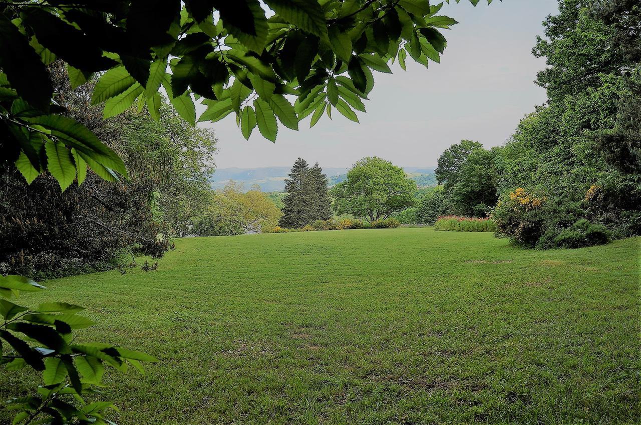 Domaine Des Marequiers Chambre Pimprenelle Saint-Germain-du-Teil Exteriör bild