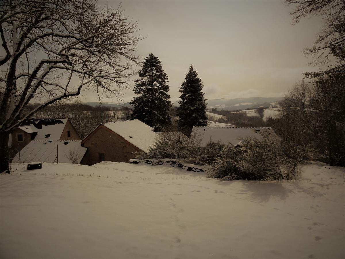 Domaine Des Marequiers Chambre Pimprenelle Saint-Germain-du-Teil Exteriör bild